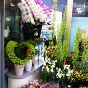 「フラワーショップ花ぐるま」　（大分県大分市）の花屋店舗写真2